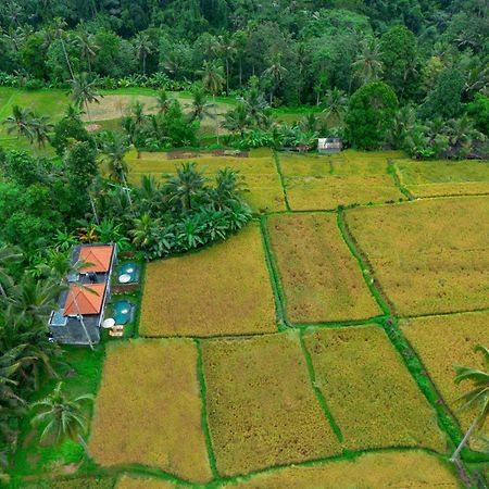 The Alus Cottage And Villa Ubud Zewnętrze zdjęcie
