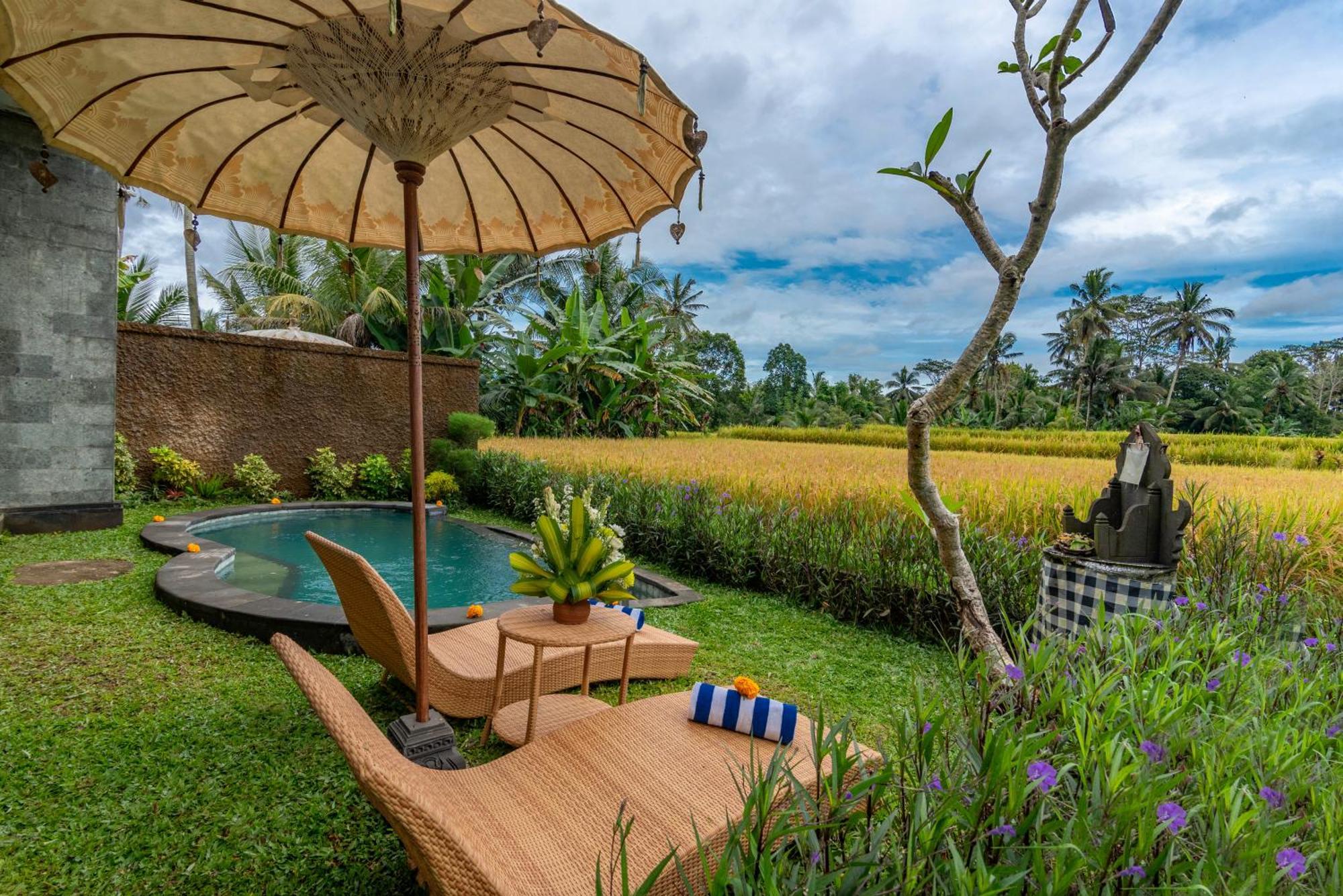 The Alus Cottage And Villa Ubud Zewnętrze zdjęcie