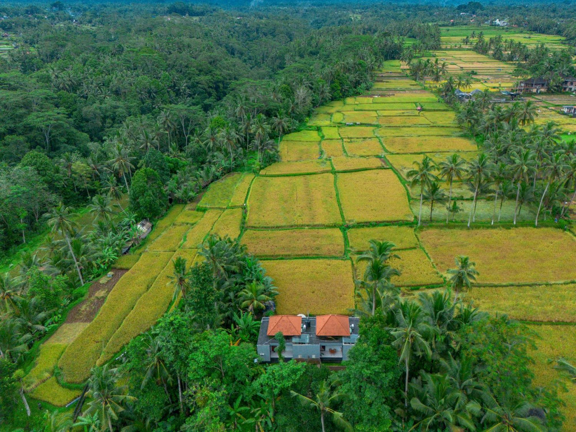 The Alus Cottage And Villa Ubud Zewnętrze zdjęcie