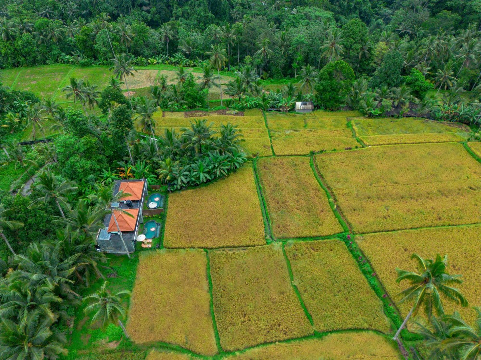 The Alus Cottage And Villa Ubud Zewnętrze zdjęcie