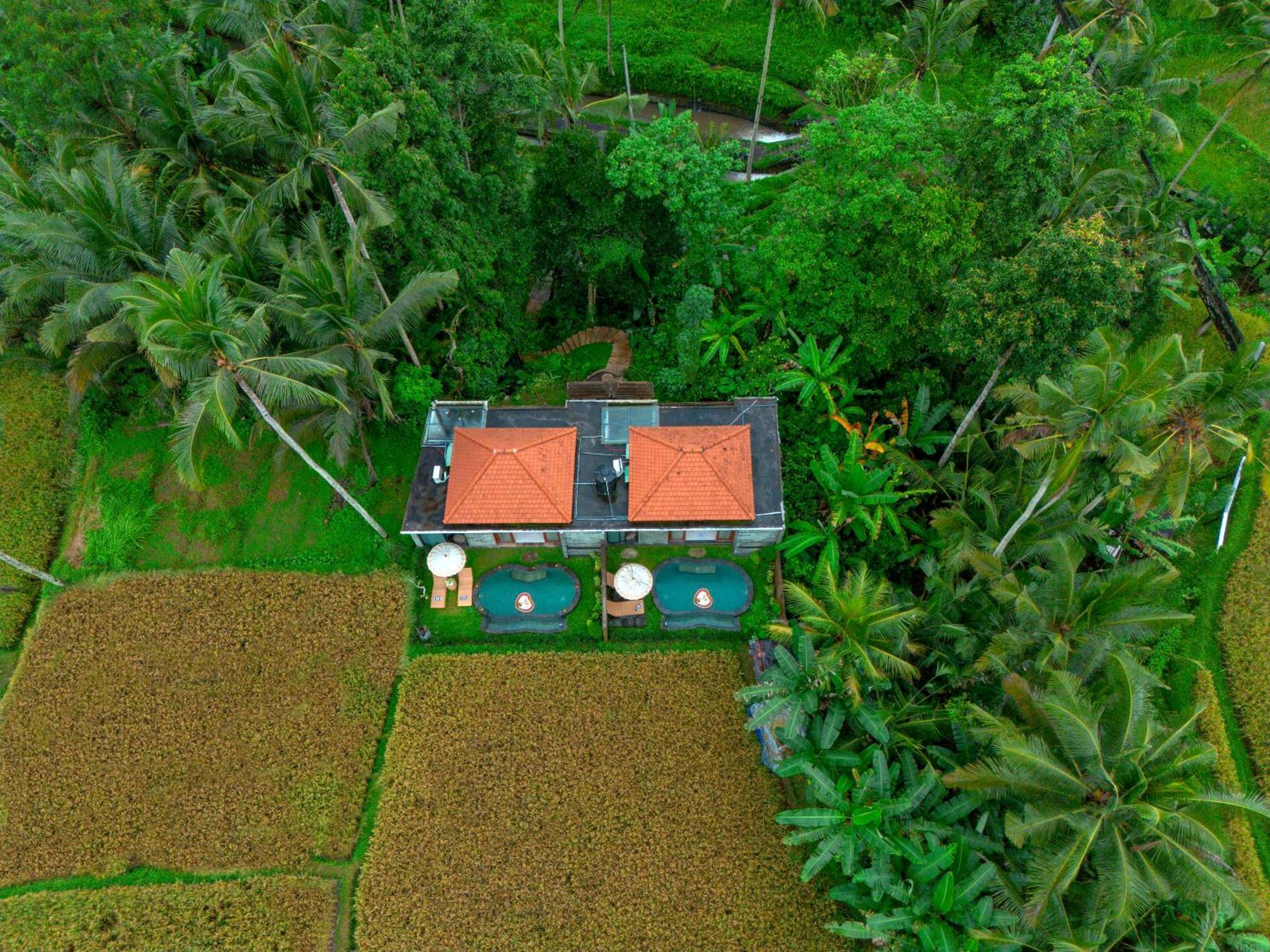 The Alus Cottage And Villa Ubud Zewnętrze zdjęcie